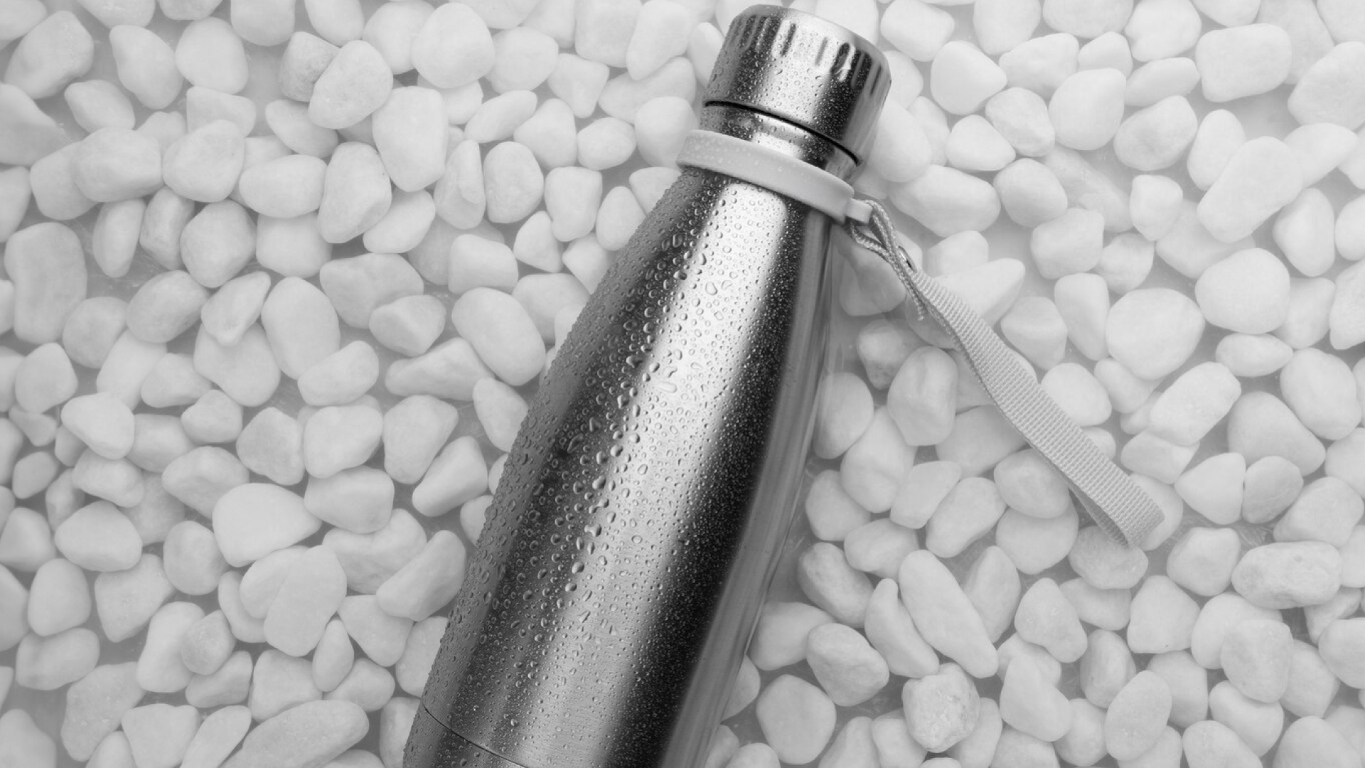   Stainless Steel Water Bottles-Reyleaf App from United States, eco-friendly products, sustainable living, sustainable community, online marketplace, vetted vendors, eco-friendly practices, community initiatives, sustainable lifestyle, green products, ethical shopping, environmental sustainability, responsible consumption.